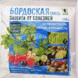 Prerada bordoskom tekućinom u proljeće i hortikulturna upotreba ribizle